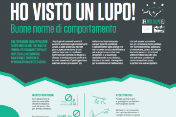 Divulgazione di Linee Guida comportamentali in seguito a segnalazioni di attacchi e interazioni di lupo (Canis lupus) nel territorio provinciale
